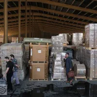 جذب نیرو در بخش های مختلف گمرک|استخدام صنعتی، فنی، مهندسی|بروجرد, |دیوار