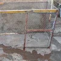 قفس مرغ خروس  حیوانات مزرعه|لوازم جانبی حیوانات|میانه, |دیوار