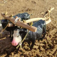 دکوری جفت گا|مجسمه، تندیس، ماکت|لردگان, |دیوار