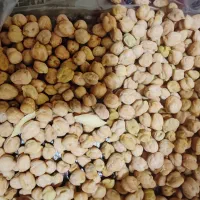 خریدنخودباچک صیادی نخود یا لوبیا