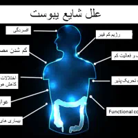 پایان یبوست ،آغاز سلامتی|آرایشی، بهداشتی، درمانی|تهران, شهرک چیتگر|دیوار
