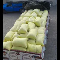 ریقنا کبوتر فضله چایی کود زیر شیروانی و سوله موخام