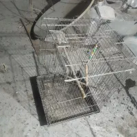 قفس پرنده بزرگ و متوسط