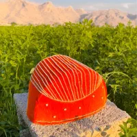 لچک|لباس|دهدشت, |دیوار