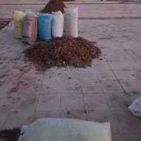 پوست پسته خراک دام