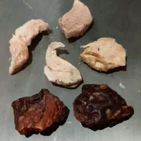 ورکشاپ رایگان فریزدرایر(خشک کردن مواد غذایی)|گردهمایی و همایش|شیراز, کرونی(خاتونک)|دیوار