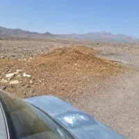 کود گوسفند حیونی یک ماشین پر دارم
