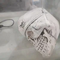 آکواریوم و تجهیزات|ماهی|بندرعباس, |دیوار