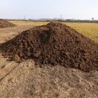 خاک باغچه کود حیوانی خاک برگ....|خدمات باغبانی و درختکاری|چاف و چمخاله, |دیوار