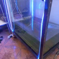 آکواریم ماهی غزل|ماهی|تیران, |دیوار