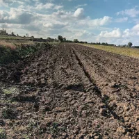 زمین باغی|فروش زمین و ملک کلنگی|گرگان, |دیوار