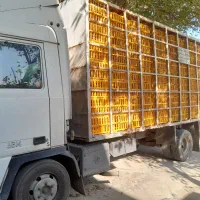 فروش بادسان مدل ،82|خودرو سنگین|نگین شهر, |دیوار