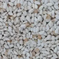 60کیلو دانه روغنی گلرنگ