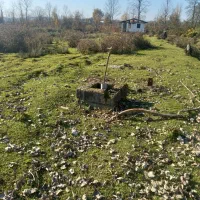 زمین مرغداری|فروش زمین و ملک کلنگی|سیاهکل, |دیوار