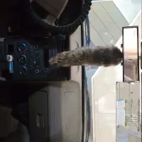 ۴۰۵ مدل ۹۴|خودرو سواری و وانت|ساوه, |دیوار