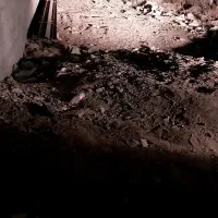 زمین-فروشی-با-خودرو-هم-قیمت-معامله-میکنم