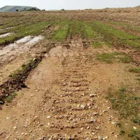 زمین به متراژ 460متر