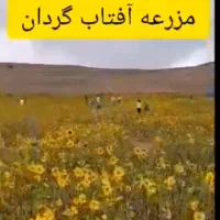 تور طبیعت‌گردی همسفر / ویژه بانوان