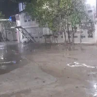 کار در مرغداری مکانیزه