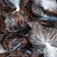 خرمای تازه پیارم|خوردنی و آشامیدنی|ایوان, |دیوار