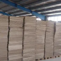 استخدام  کارگر ساده جهت کارتن سازی