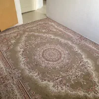 فرش|فرش|صفادشت, |دیوار