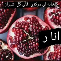 از تولید به مصرف  محصولات گلخانه مرکزی