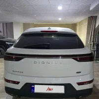 دیگینیتی