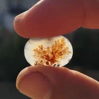 سنگ شجر|جواهرات|سرپل ذهاب, |دیوار