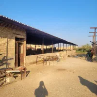 نیاز به سرمایه جهت دامپروری