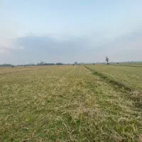 ۵۷۰۰متر خانه محوطه و شالی بر اسفالت|فروش زمین و ملک کلنگی|کوچصفهان, |دیوار