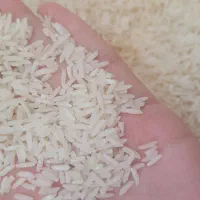 برنج هاشمی درجه یک برای دستک|خوردنی و آشامیدنی|لاهیجان, شهرک سلمان فارسی|دیوار