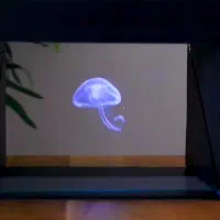 هولوگرام باکس