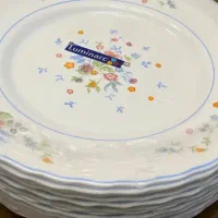 بشقاب و پیش دستی و پلو خوری آرکوپال اصل فرانسه