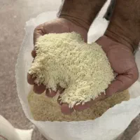 برنج گیلان مازندران/ عمده تناژ/ هاشمی طارم صدری|خوردنی و آشامیدنی|تهران, فلسطین (میدان انقلاب)|دیوار