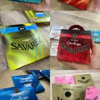 فروش انواع سیم گیتار با نصب ارسال رایگان