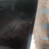 تلویزیون ضربه خورده