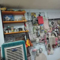 واگذاری اجناس پلاسکو به قیمت یکسال قبل