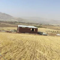 زمین خانه باغ تبت