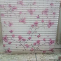 پرده زبرا دو بعدی