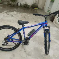 دوچرخه|دوچرخه، اسکیت، اسکوتر|آستانه اشرفیه, |دیوار