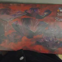 سرویس چینی معاوضه با بخاری