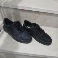 کفش ونس سایز۴۳