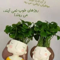 جویای کار نظافت منزل روزانه یا دائمی