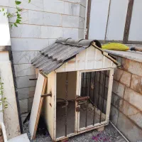 قفس نگهداری سگ یا برای مرغ و خروس|لوازم جانبی حیوانات|قم, آزادگان|دیوار