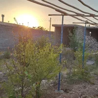 14 قصب زمین با ساختمان و آب فاز1 علی ابن ابیطالب