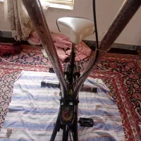 دوچرخه ثابت دوکاره