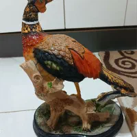 مجسمه قرقاول بلژیکی.سبک،قابل شستشو،برند Poly Nice|مجسمه، تندیس، ماکت|تهران, آبشار تهران (دریاچه)|دیوار