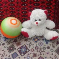 سالم|ورزشهای توپی|گرمسار, |دیوار