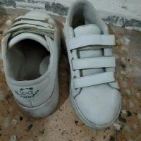 شیش جفت کفش|کیف، کفش، کمربند|قروه, |دیوار